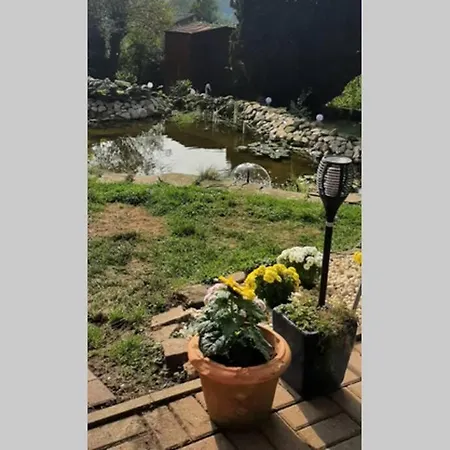 Ferienhaus Wunderschönes Ferienhaus im Grünen